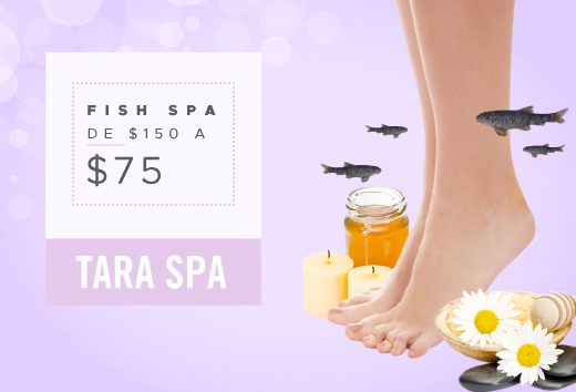 Fish spa de $150 a sólo $75