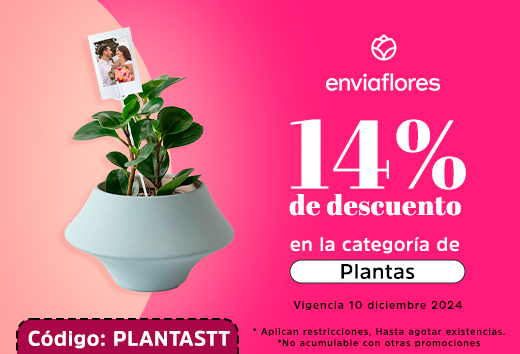 14% de descuento en la categorÃ­a de Plantas