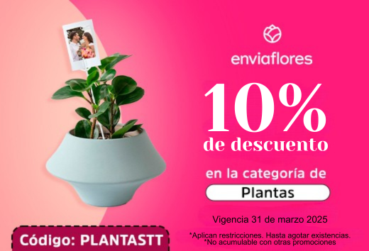 10% de descuento en la categorÃ­a de Plantas